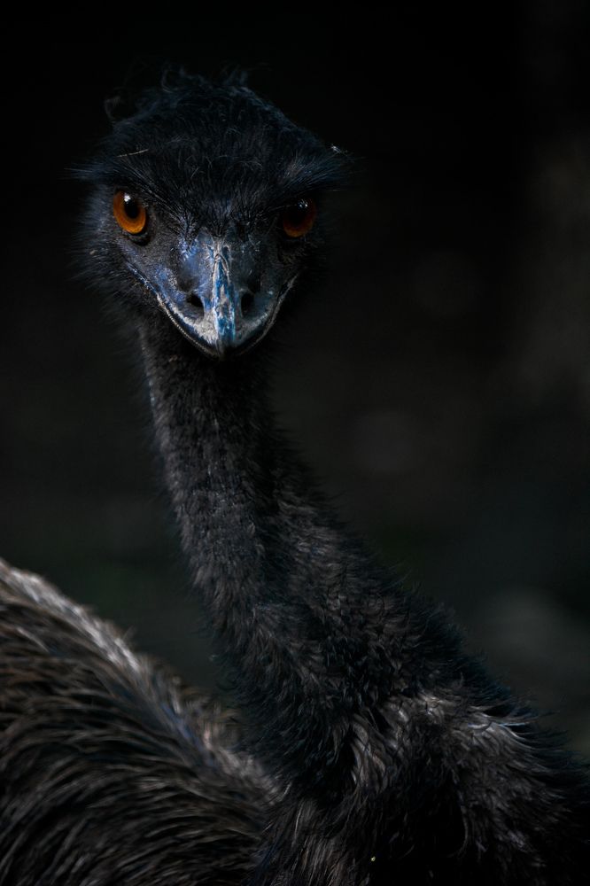 Photograph by Navya Joshi