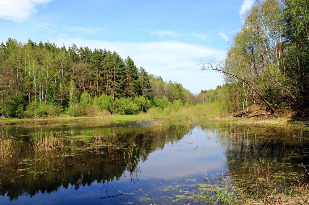Photograph by Александр Бугаенко
