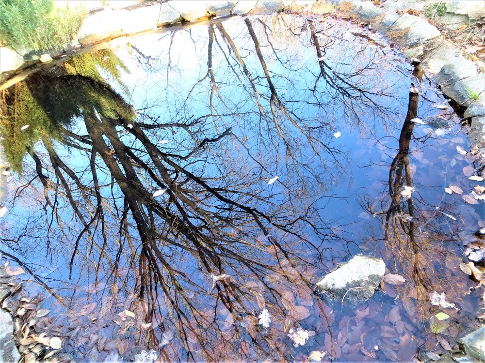 Photograph by Галина