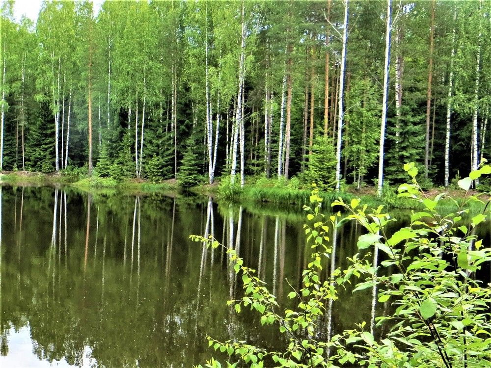 Photograph by Галина