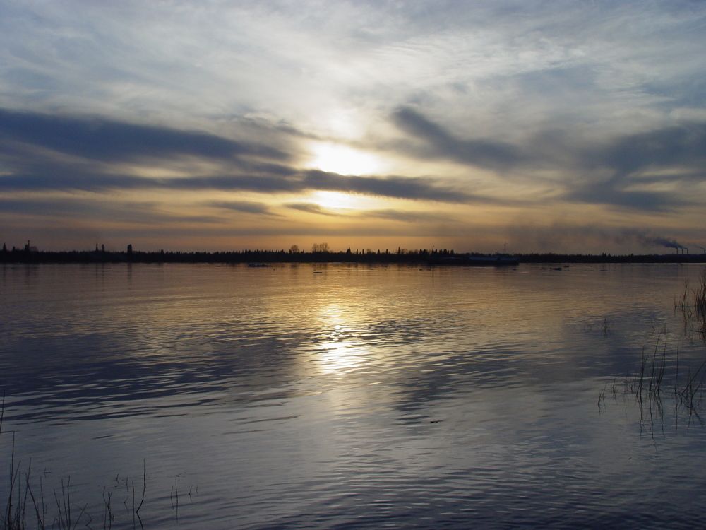 Photo #6849440