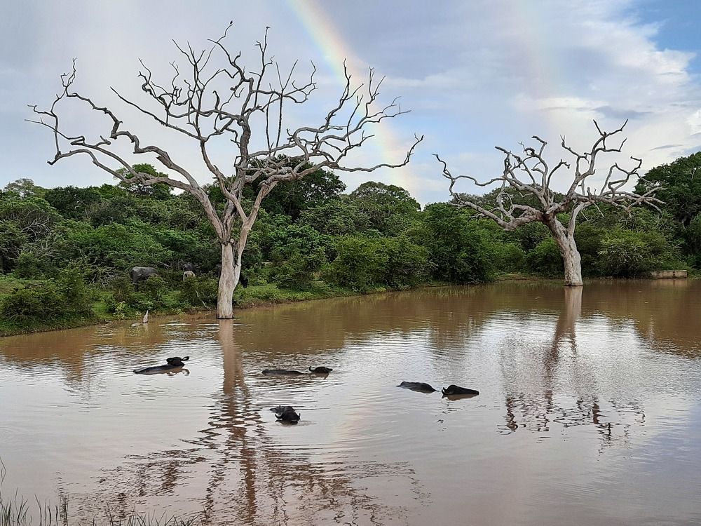 Photograph by Виктор Паклянов
