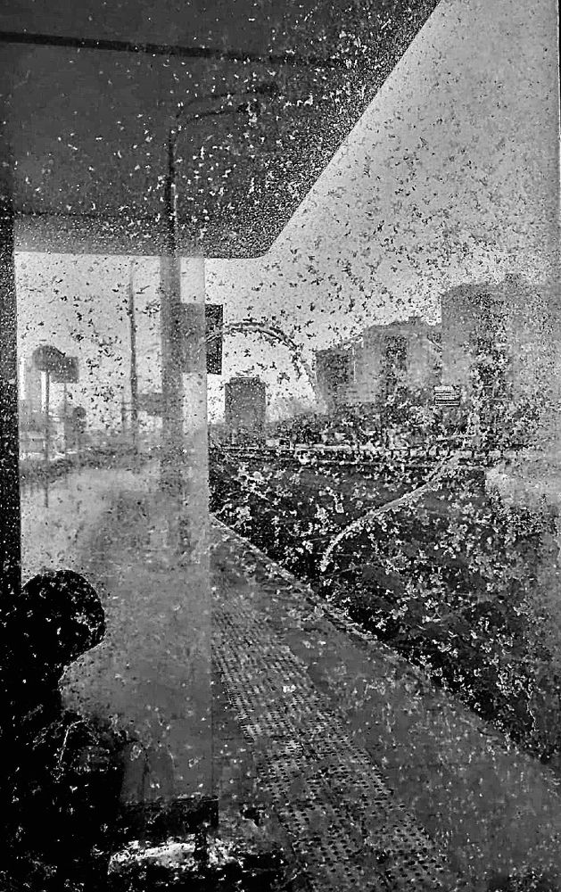 В ожидании весны