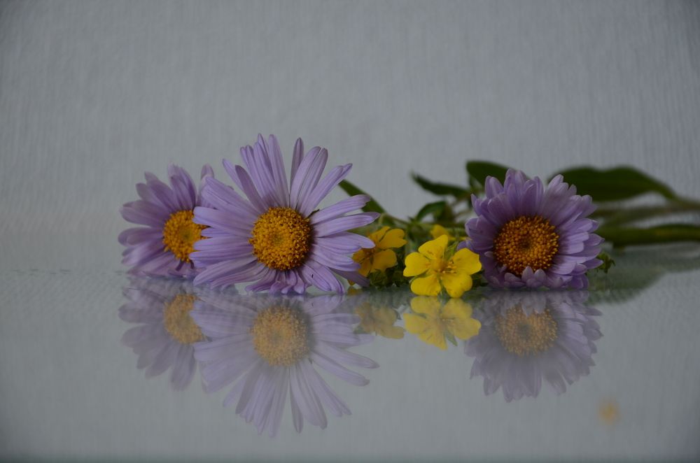 Photograph by Людмила Воропаева