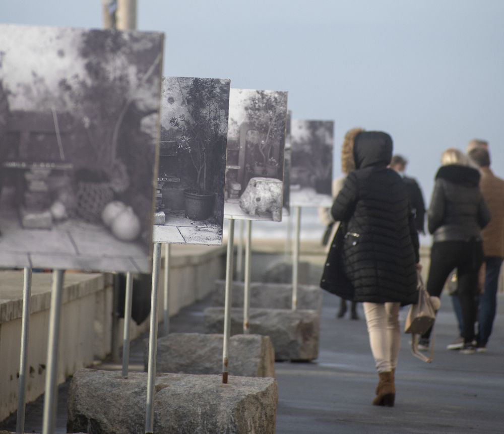 Photograph by Tatiana Zuikova