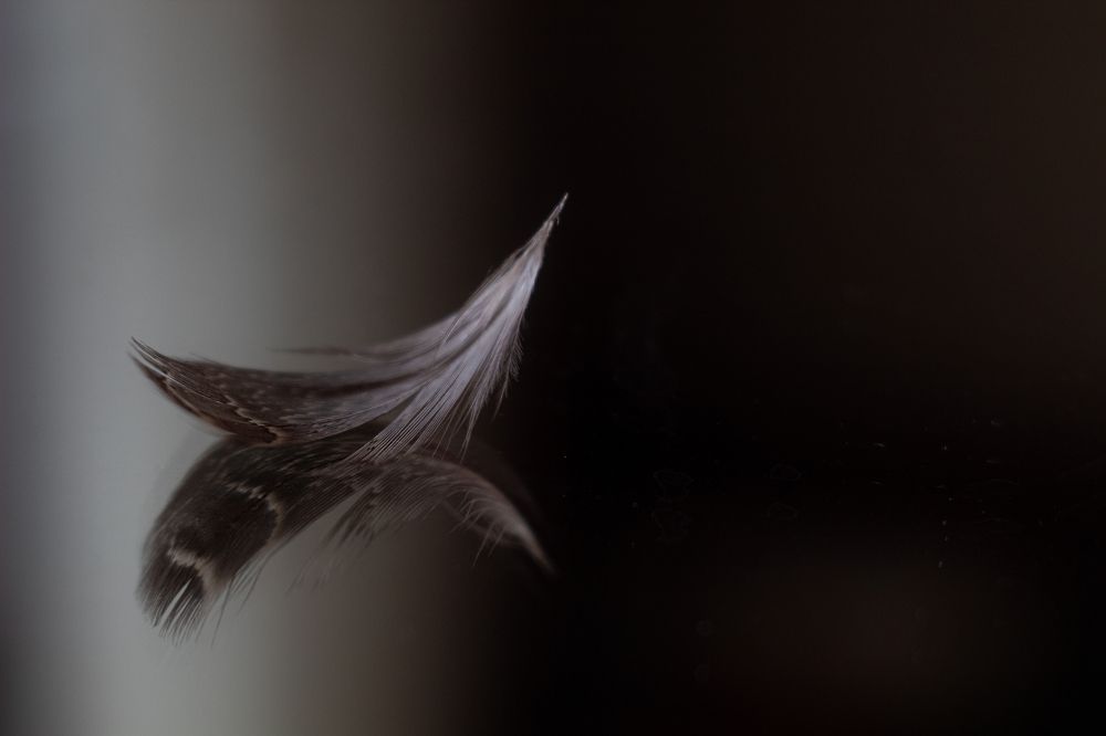 Фотография автора Дарина