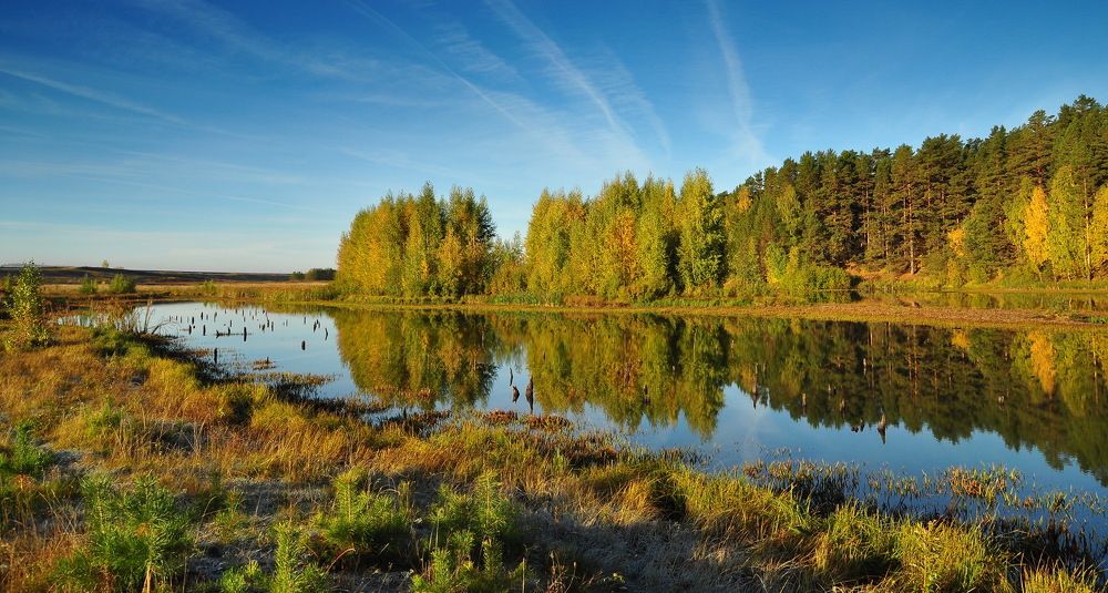 Photograph by Светлана