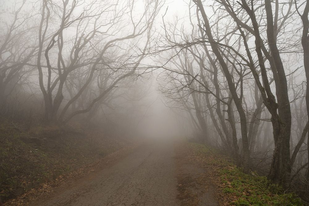 Фотография автора 