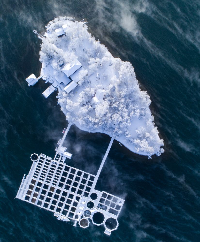 Photograph by Игорь Железняк