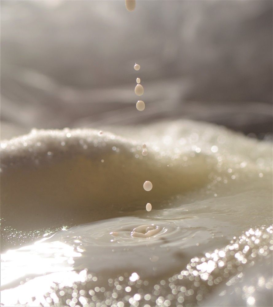 Фотография автора Ася Бабушкина