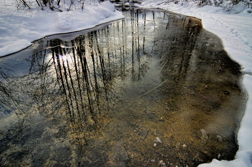 Photograph by Наталья Кащеева