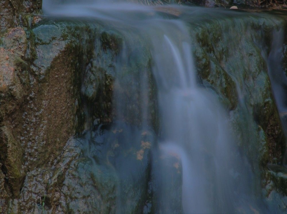Фотография автора Ася Бабушкина