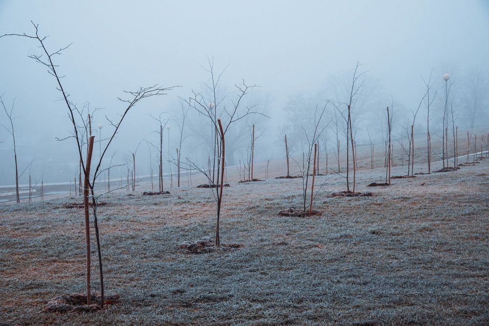 Photograph by Andrey