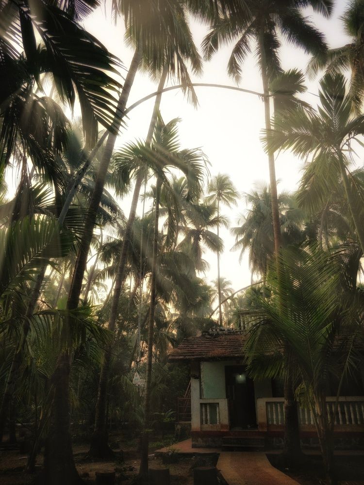 Photograph by Abhishek Biradar