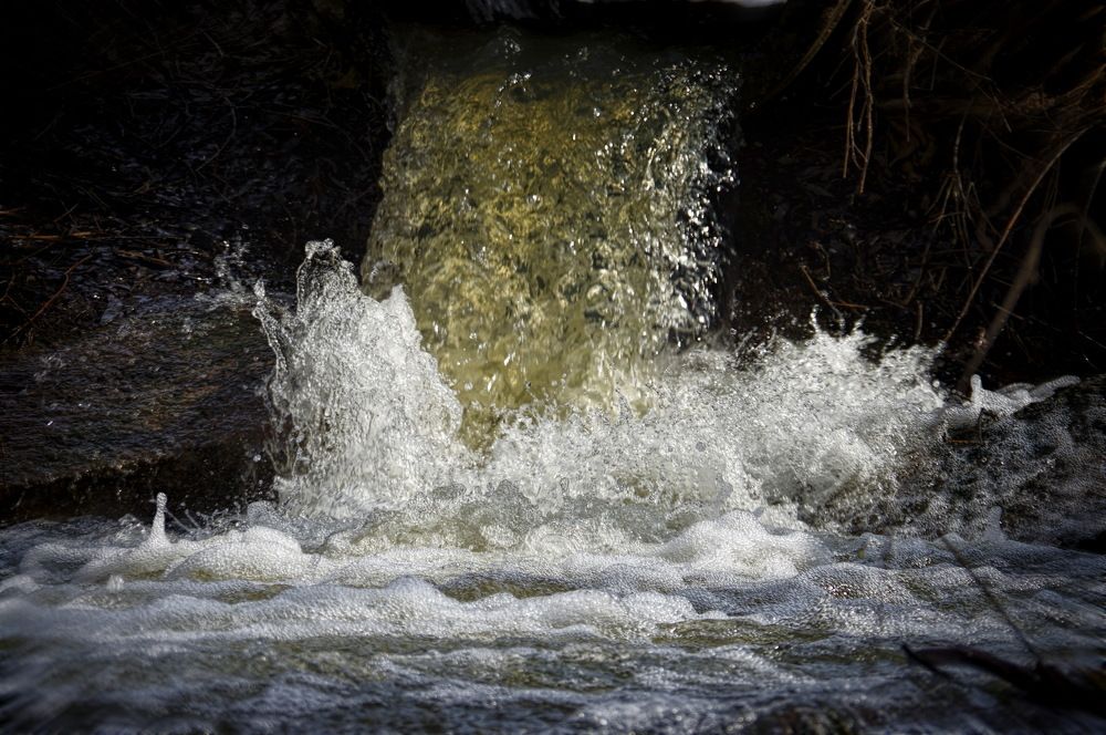 Photograph by Наталья Кащеева