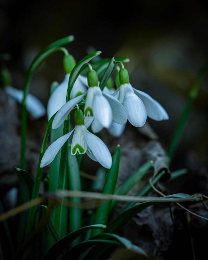 Photograph by Анастасия Бравичева