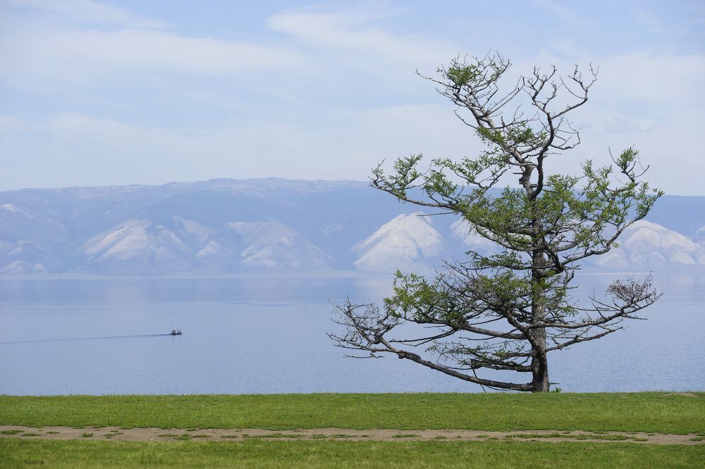 Фотография автора Надежда Думина