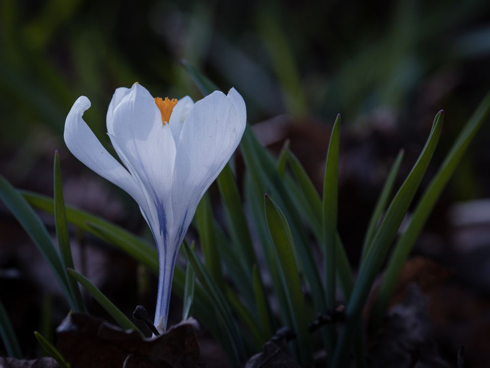 Photograph by Анастасия Бравичева