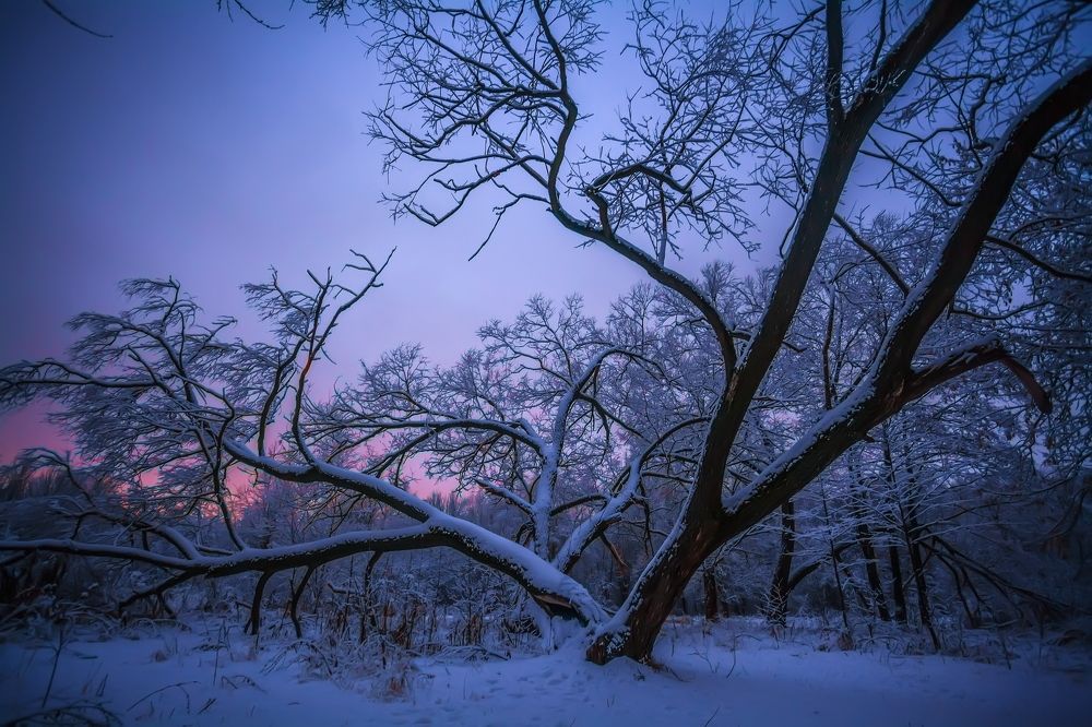 Photograph by Дмитрий Сундеев