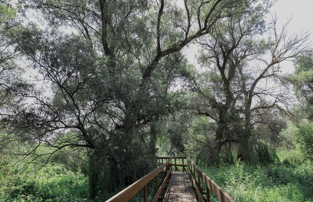 Photograph by Юлия