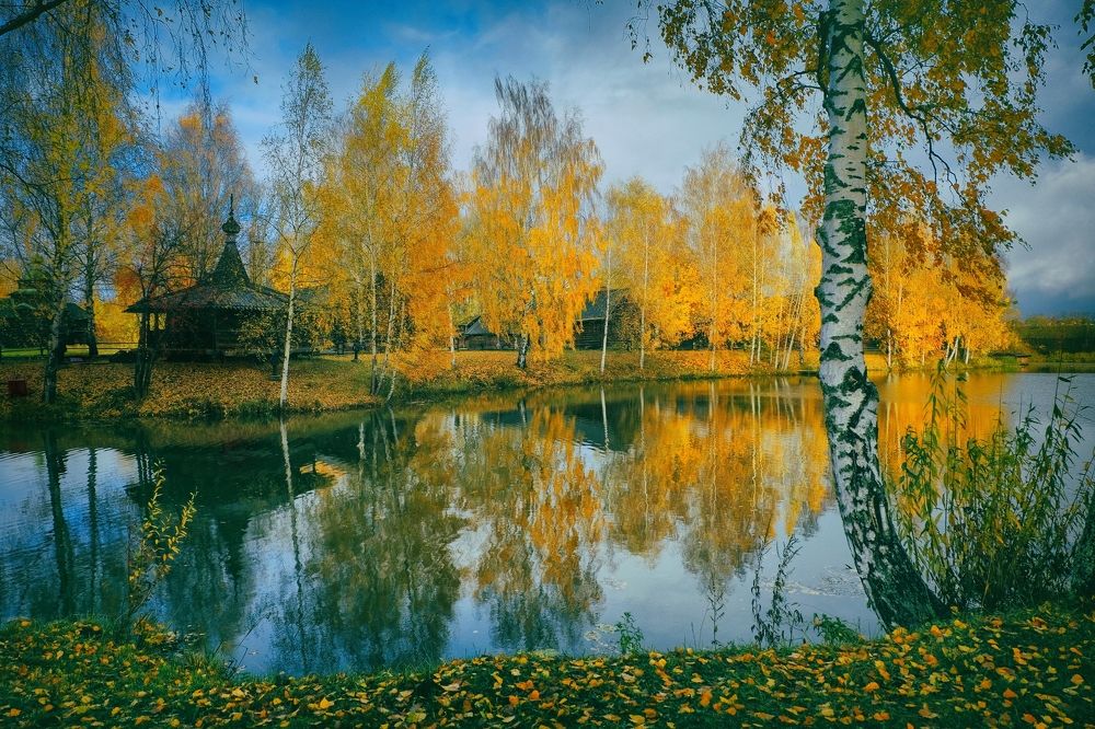 Отражения осени