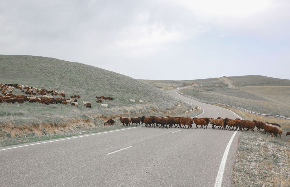 Photograph by Юлия