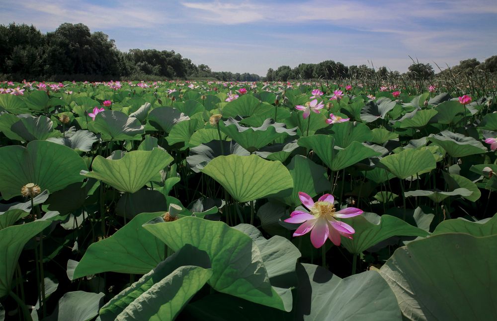 Photograph by Юлия