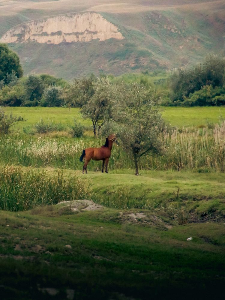 Photograph by SaifuddiN Beterhanov