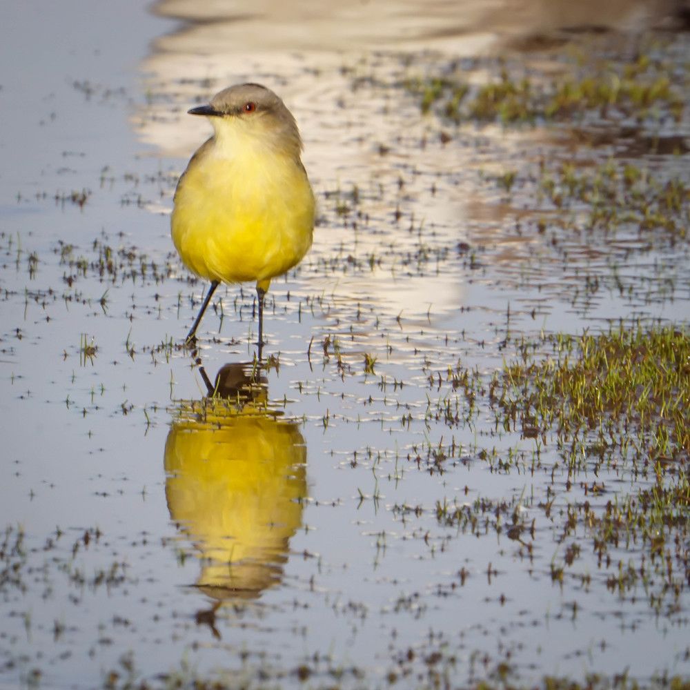 Photograph by Karina Elena Bergagna