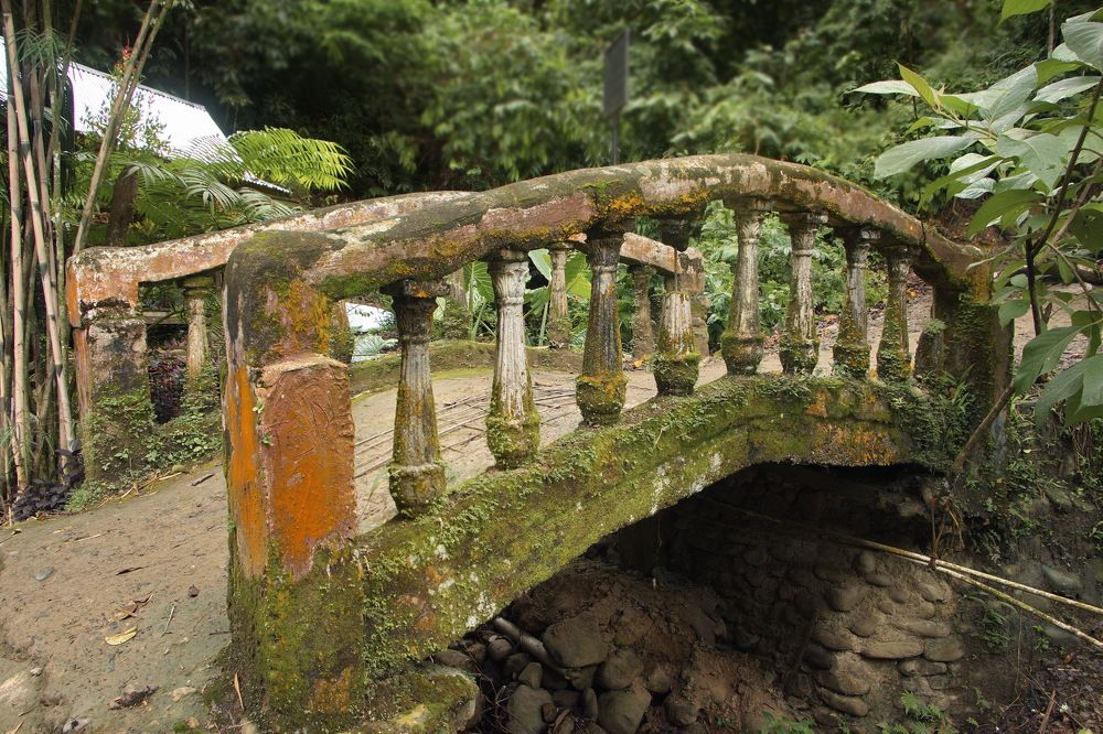 Photograph by Tatiana Serova