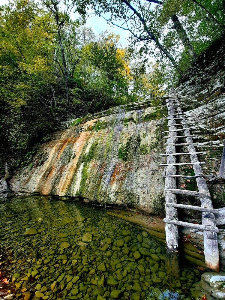 Photograph by Natalya Vasilenko