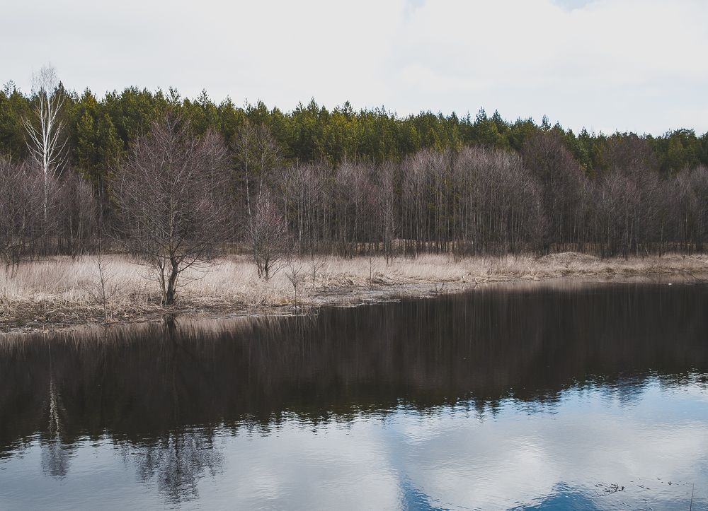 Photograph by Елизавета Большакова