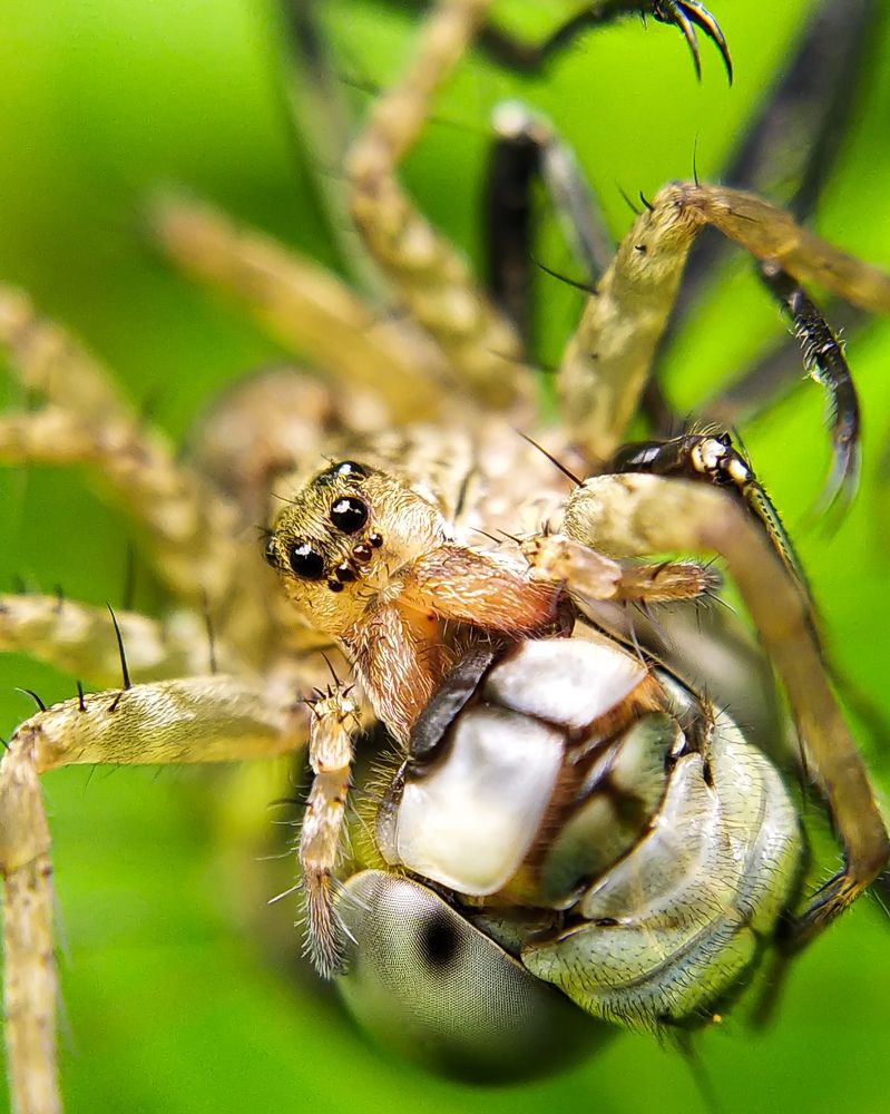 Фотография автора Nasif Ali Mondal