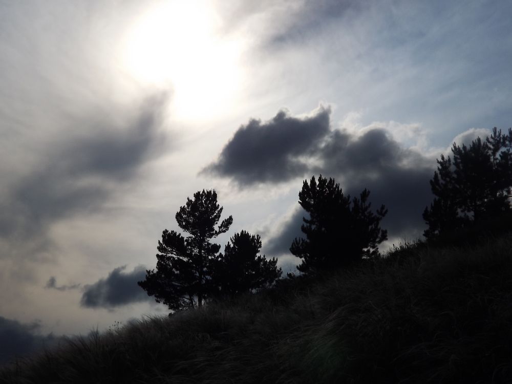 Photo #6850159