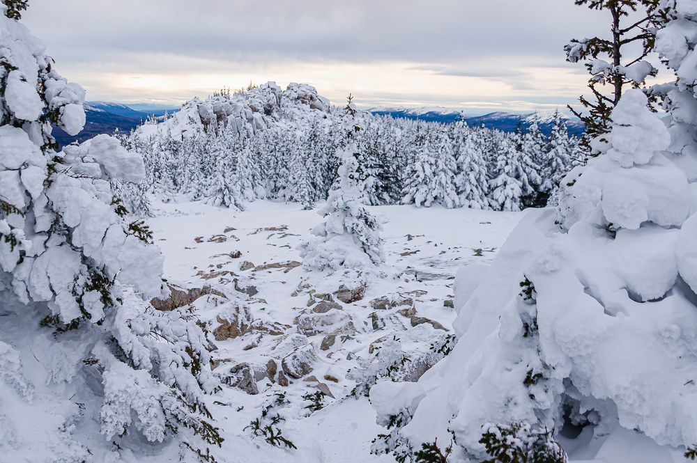 Зимняя сказка