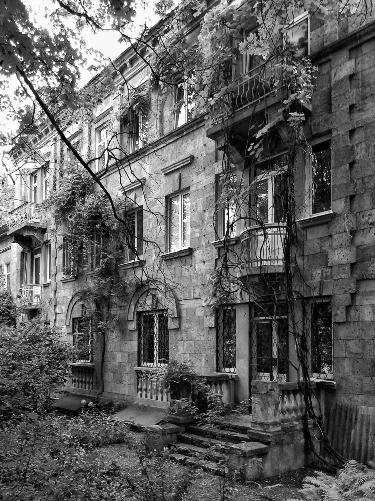 Photograph by Эльза Трисантович