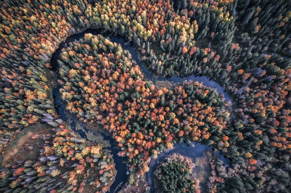 Photograph by Денис Гончаренко