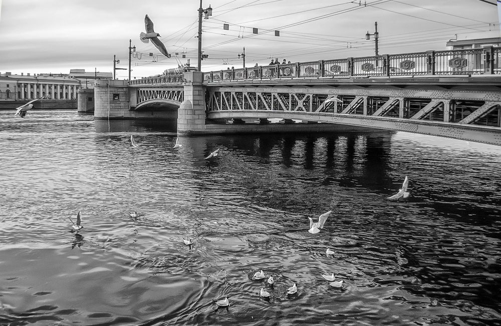 Photograph by Любовь clyu4eva lyubov