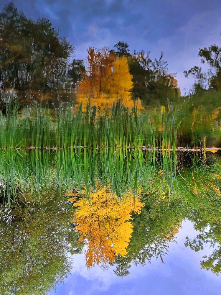 Photograph by Marianna