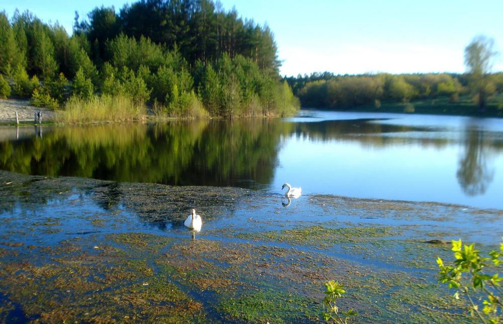 Фотография автора Павел Попов