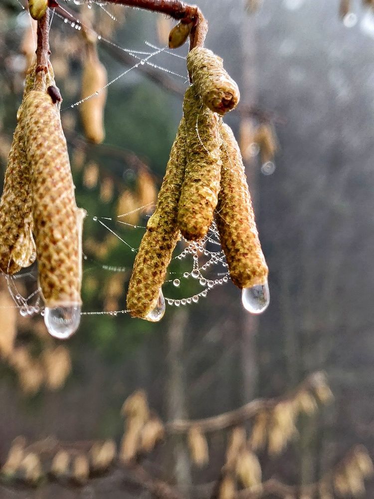 Photograph by Наталья