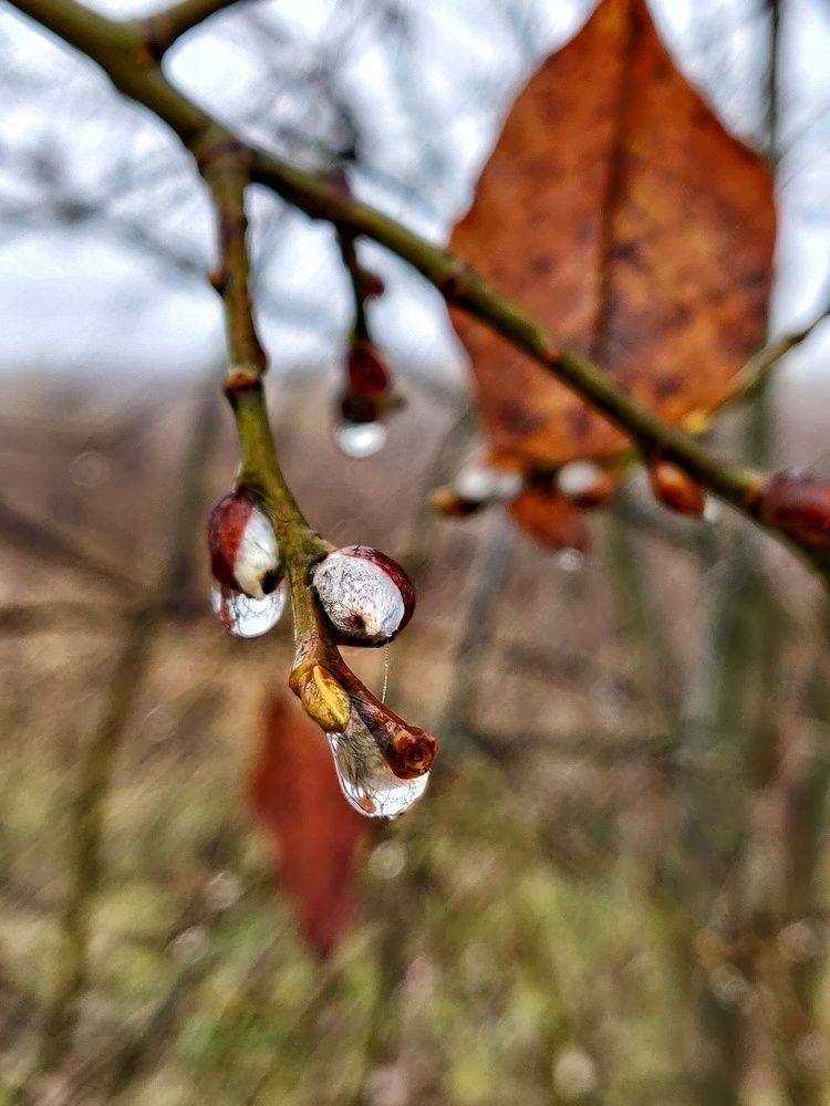 Photograph by Наталья