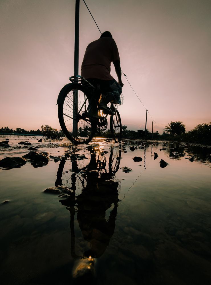 Photo #6850289