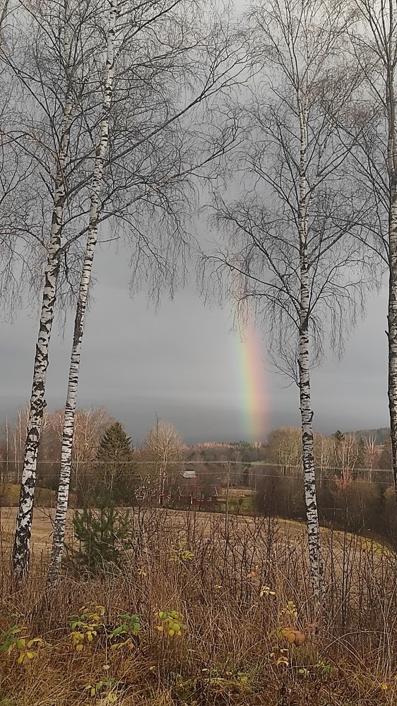 Photograph by Zanna Stalidzāne