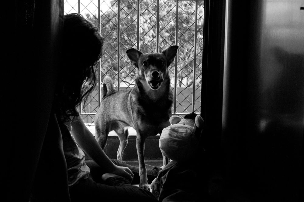 Pandemic times - 2nd year