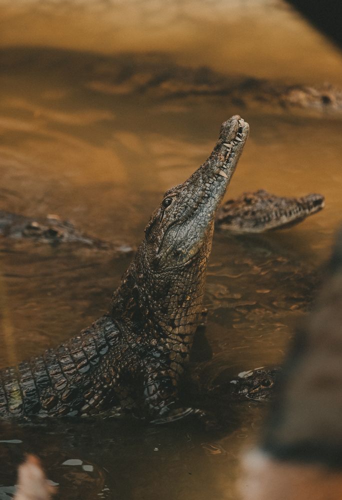 Photograph by Яна Котлярова