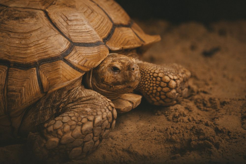 Photograph by Яна Котлярова