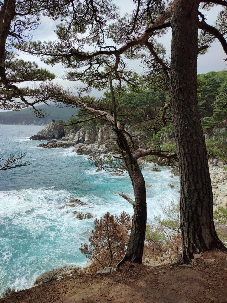 Photograph by Людмила Воропаева