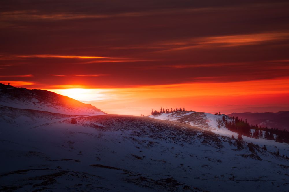 Photograph by Alexandru Handrache