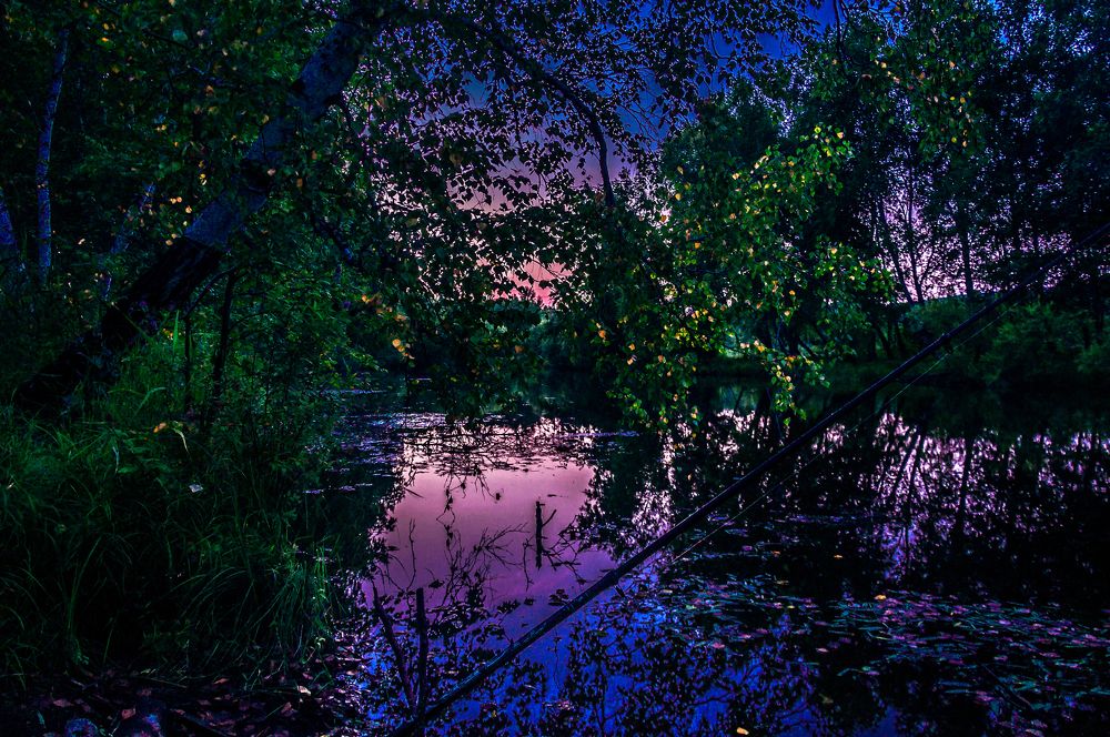 Photograph by Алексей Егоров